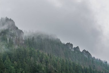 Sisli Tatra Dağları'nın harika bir manzara. Tatra Milli Parkı. Polonya, Avrupa. Dramatik sahne. Güzellik Dünya.