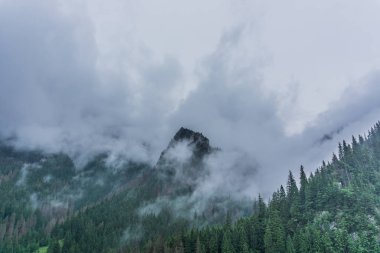 Sisli Tatra Dağları'nın harika bir manzara. Tatra Milli Parkı. Polonya, Avrupa. Dramatik sahne. Güzellik Dünya.