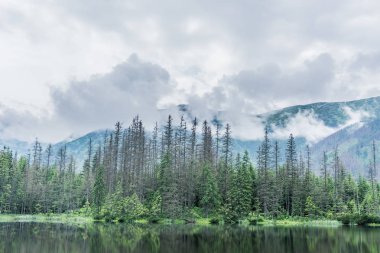 Dağ, göl ve bulutlu gökyüzü Tatra Milli Parkı'nda. Polonya, Avrupa. Güzellik Dünya.