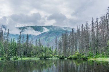 Dağ, göl ve bulutlu gökyüzü Tatra Milli Parkı'nda. Polonya, Avrupa. Güzellik Dünya.