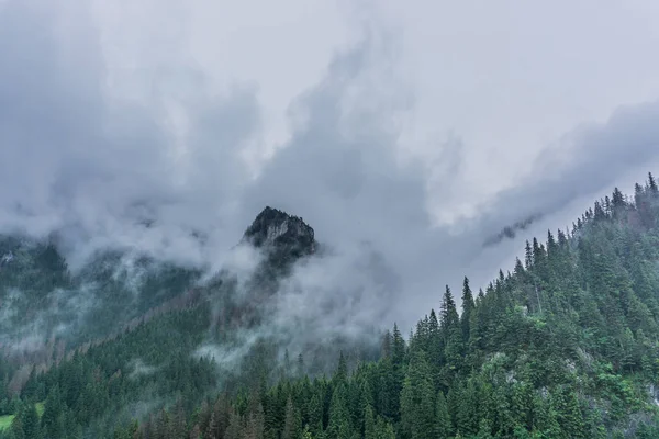 Sisli Tatra Dağları'nın harika bir manzara. Tatra Milli Parkı. Polonya, Avrupa. Dramatik sahne. Güzellik Dünya.