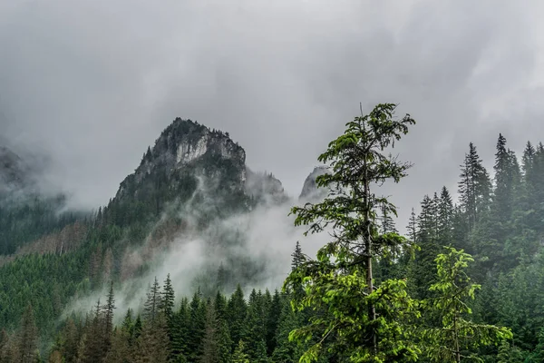 Sisli Tatra Dağları'nın harika bir manzara. Tatra Milli Parkı. Polonya, Avrupa. Dramatik sahne. Güzellik Dünya.