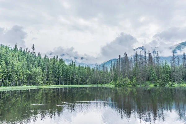 Dağ, göl ve bulutlu gökyüzü Tatra Milli Parkı'nda. Polonya, Avrupa. Güzellik Dünya.