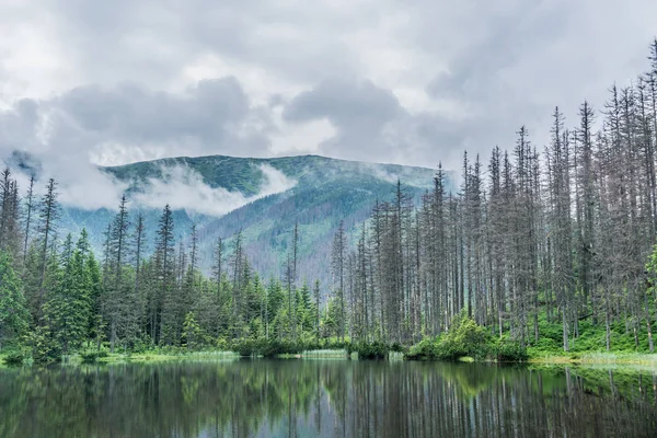 Dağ, göl ve bulutlu gökyüzü Tatra Milli Parkı'nda. Polonya, Avrupa. Güzellik Dünya.