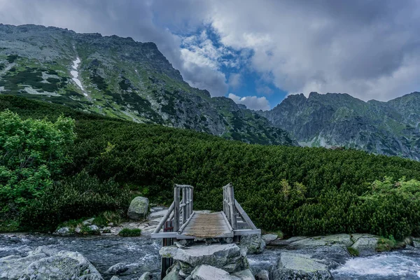 Góry Drewniany Most Przez Rzekę Tatrzański Park Narodowy Polska Europa — Zdjęcie stockowe