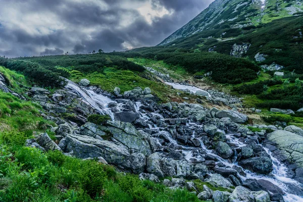 Ποτάμι Βουνό Στην Κοιλάδα Εθνικού Πάρκου Tatra Πολωνία Ευρώπη Κόσμος — Φωτογραφία Αρχείου