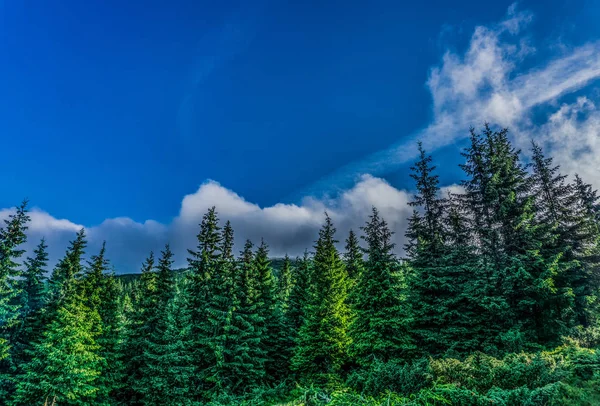 Bulutlar ile Vadisi'nin güzel bir manzara. Güzellik doğa.