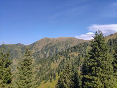 Almat şehri yakınlarındaki Kazakistan'da Tien Shan sisteminin Trans-Ili Alatau sıradağları. Yaz ortasında bulutların altında karla kaplı kayalık zirveler
