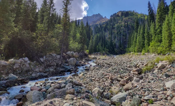 Almat şehri yakınlarındaki Kazakistan'da Tien Shan sisteminin Trans-Ili Alatau sıradağları. Yaz ortasında bulutların altında karla kaplı kayalık zirveler