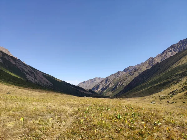 Trans Ili Alatau Chaîne Montagnes Système Tien Shan Kazakhstan Près — Photo