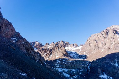Essaouira, Fas yakınlarındaki sahilde kahverengi bir atın boynu görünüyor.