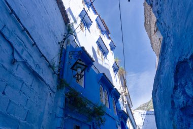 Chefchaouen, Fas - 3 Mart 2020: Fas, Kuzey Afrika 'daki Chefchaouen şehrinin güzel mavi medina' sı