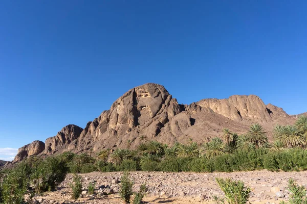 Hermoso Paisaje Del Oasis Del Desierto Oasis Fint Cerca Ourzazate —  Fotos de Stock