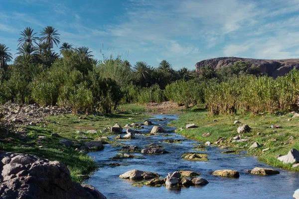 Hermoso Paisaje Del Oasis Del Desierto Oasis Fint Cerca Ourzazate —  Fotos de Stock