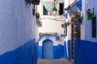 Chefchaouen, Fas - 3 Mart 2020: Fas, Kuzey Afrika 'daki Chefchaouen şehrinin güzel mavi medina' sı