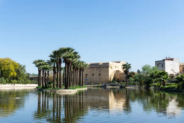 Jardin Jnan Sbil Koninklijk Park Fes Met Zijn Meer Torenhoge — Stockfoto