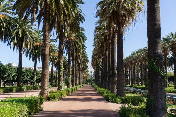 Arap Birliği Parkı, Kazablanka, Fas 'ta bir şehir parkı.