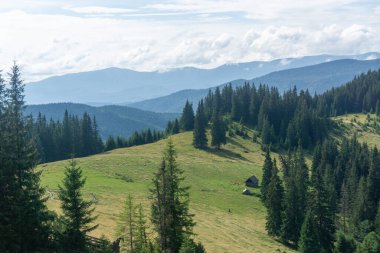 Karpatya ekosisteminin manzarası. Gorgany Bölgesi, Ukrayna. Gorgany Doğa Koruma Alanı eşsiz bir Karpatlar dağlık bölgesidir..