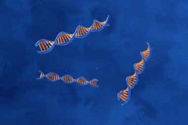 DNA molecule with the double polynucleotide spiral - top view 3d illustration clipart