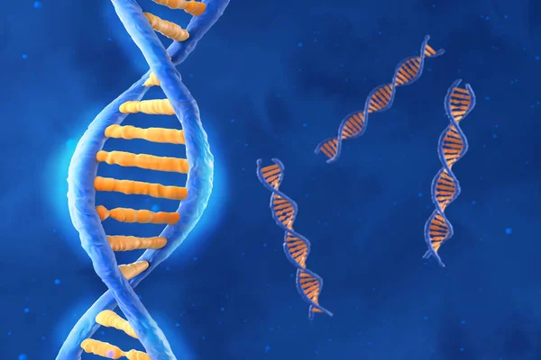 DNA molecule with the double polynucleotide spiral - isometric view 3d illustration