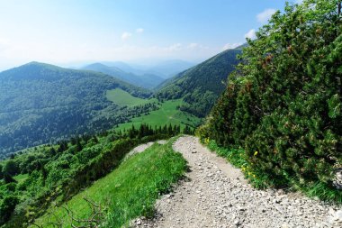 Sope yolları Vratna Vadisi Milli Parkı Mala Fatra, Slovakya, çapraz üzerinde manzaralı. Gün foto.