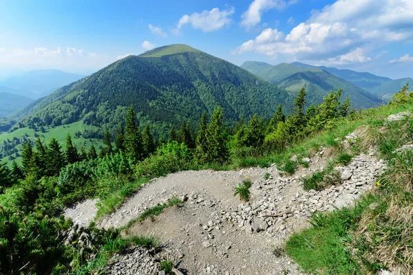 Pendiente Valle Vratna Parque Nacional Mala Fatra Eslovaquia Foto Del —  Fotos de Stock