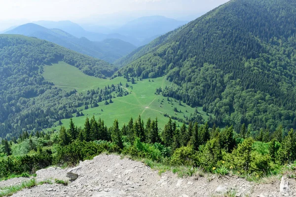 Los Caminos Cruzan Valle Vratna Parque Nacional Mala Fatra Eslovaquia —  Fotos de Stock