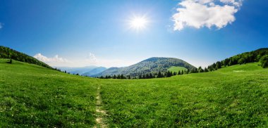 Vratna Vadisi Milli Parkı Mala Fatra, Slovakya, geniş çayırlar görünümünde.