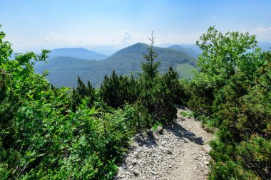 Vratna Vadisi Milli Parkı Mala Fatra, Slovakya, geçit. Gün foto.