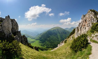 Vratna Vadisi Milli Parkı Mala Fatra, Slovakya, büyük Rozsutec Tepesi'ndeki gorge.