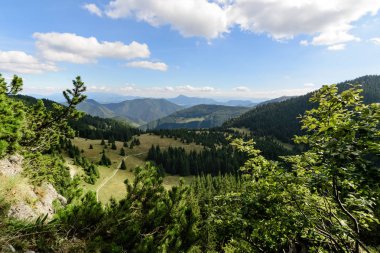 Milli park Mala Fatra, Slovakya küçük Rozsutec hill yakınındaki orman. Gün foto.
