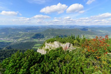 Ormanda küçük Rozsutec hill. Milli Parkı Mala Fatra, Slovakya. Gün foto.