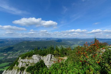 Küçük Rozsutec Hill rowan. Milli Parkı Mala Fatra, Slovakya.