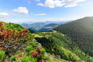 Güneşli görünümü küçük Rozsutec Hill Milli Park Mala Fatra, Slovakya.