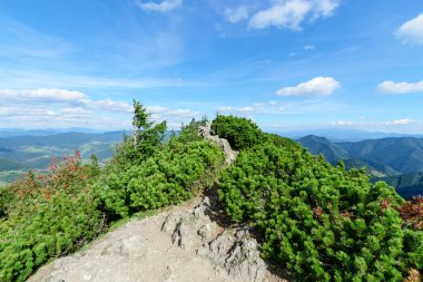 Güneşli bir gün, Slovakya Hill'de küçük Rozsutec tepesinde. Europe.