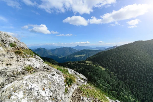 Pico Rocoso Colina Little Rozsutec Día Soleado Eslovaquia Europa —  Fotos de Stock