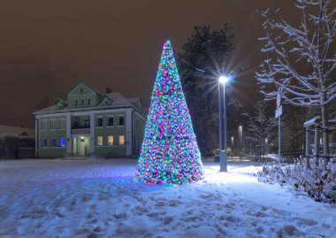 Zakopane, Polonya - 24 Aralık 2018: Zakopane karla kaplı kış Park Noel ağacı. Polonya.