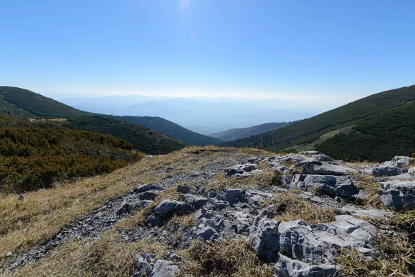 Voir Les Prairies Dans Vallée Vratna Parc National Mala Fatra — Photo