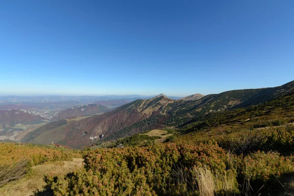 Ver Los Prados Valle Del Vratna Parque Nacional Mala Fatra —  Fotos de Stock