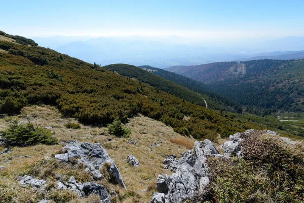 Zobacz Łąki Dolinie Vratnej Parku Narodowym Mała Fatra Słowacja Jesień — Zdjęcie stockowe