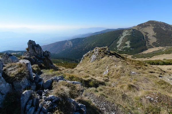 Ver Los Prados Valle Del Vratna Parque Nacional Mala Fatra —  Fotos de Stock