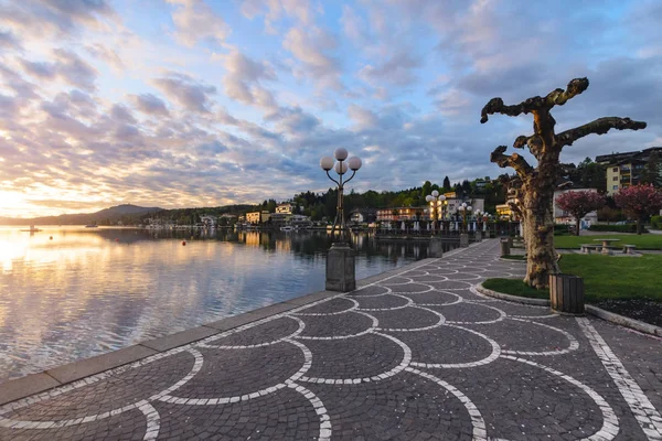 Árboles inusuales en terraplén en Velden am Worthersee — Foto de Stock