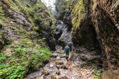 turist Üst deliklerde ormana gider