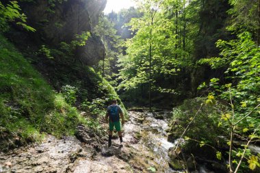 turist Üst deliklerde ormana gider