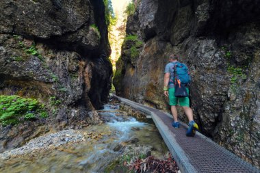 turist Üst deliklerde ormana gider