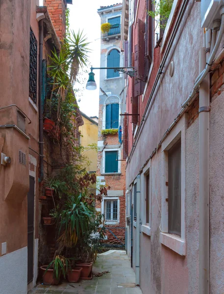 La calle de Venecia. Foto del día — Foto de Stock