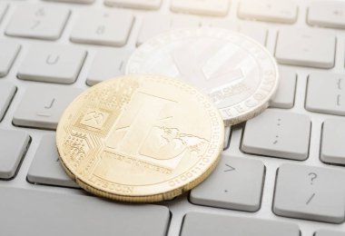 farklı Litecoin kriptopara paraları