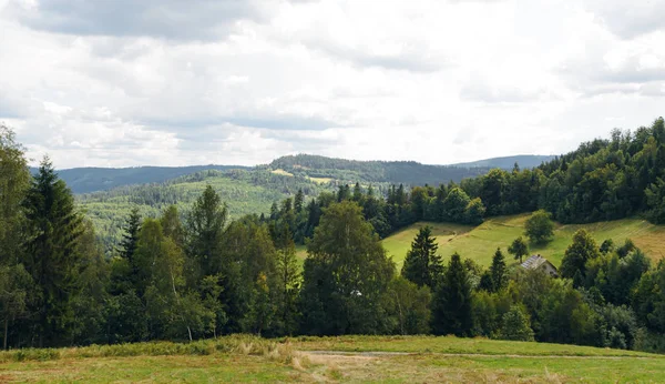 夏の日にポーランドのベスキッズの丘 — ストック写真