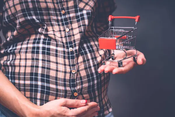 Compras de embarazo, maternidad, personas y concepto de expectativa - mujer embarazada con carrito de compras tocando su gran vientre. Imagen tonificada —  Fotos de Stock