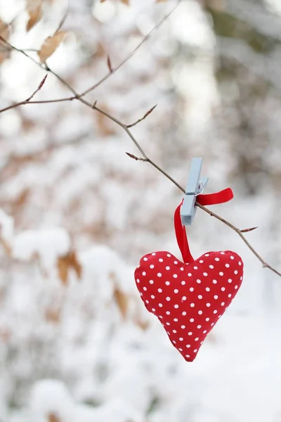 一颗红斑点的心挂在树枝上 在冬日的树林里 雪覆盖着树木的背景 寒冷的天气 不寻常的地方找到一颗爱的心 冬婚的装饰 — 图库照片